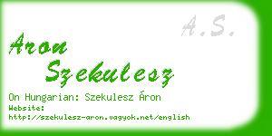 aron szekulesz business card