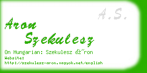 aron szekulesz business card